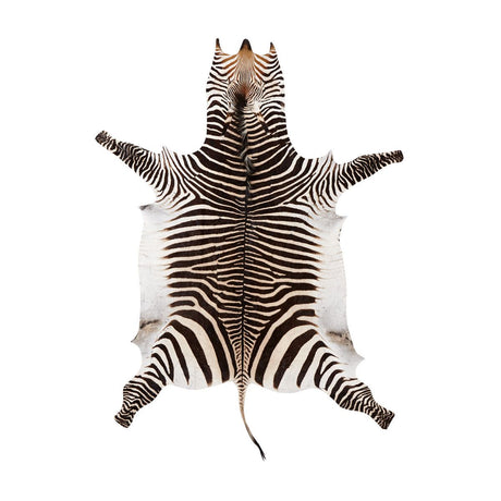 Zebra Huid